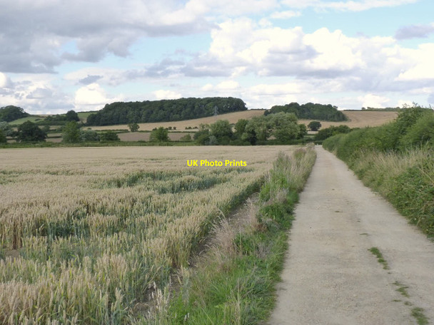 Photo 6"x4" The lane to Denton Wharf Denton\/SK8632 c2013
