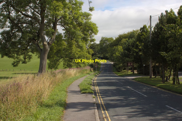 Photo 6"x4" Whinney Lane Beckwith c2013
