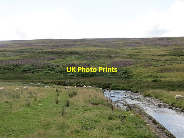 Photo 6"x4" Dye Water Dunside Hill c2013