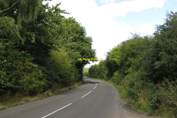 Photo 6"x4" The road to Stanton Harcourt Blackditch c2013