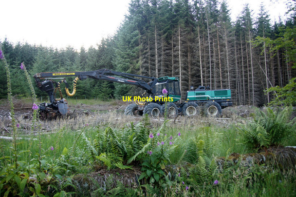 Photo 6"x4" Forestry clearing at Brewlands, Glen Isla Auchinleish c2013