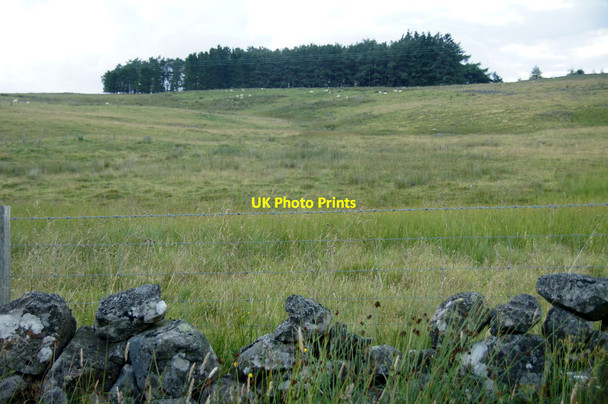 Photo 6"x4" Rough grassland and forestry near Brewlands Brewlands Bridge c2013