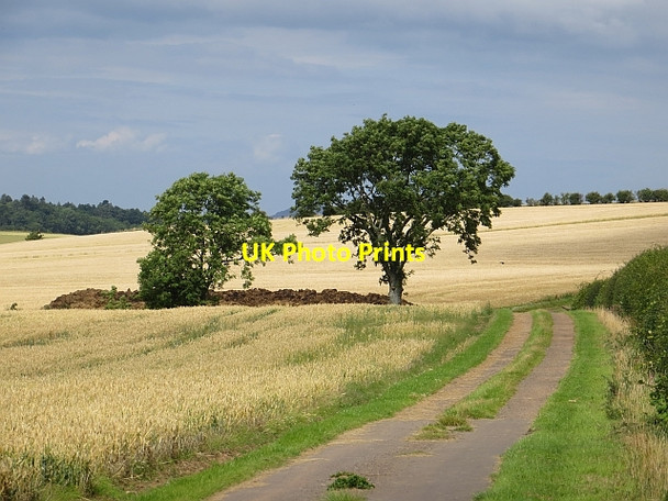 Photo 6"x4" Farm road near Gifford Gifford c2013