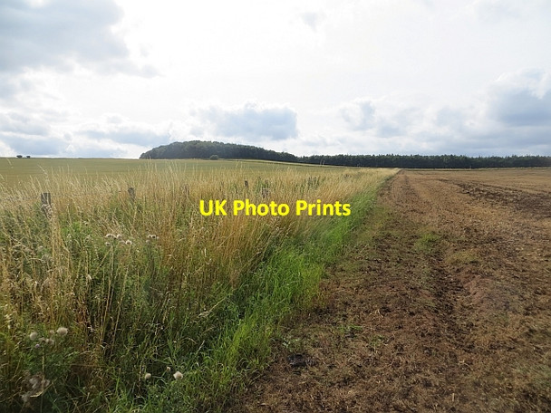 Photo 6"x4" Lawhead Hill Garvald\/NT5870 c2013