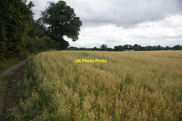 Photo 6"x4" Fields near Cramond Barnton\/NT1975 c2013