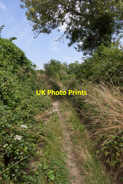 Photo 6"x4" Horsepost Lane Rushmore c2013