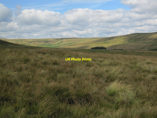 Photo 6"x4" Moorland above Moor Rigg Bollihope c2013
