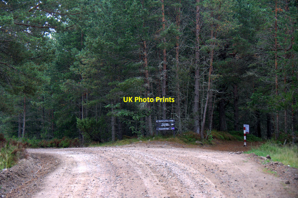 Photo 6"x4" Junction in Rothiemurchus Coylumbridge c2013