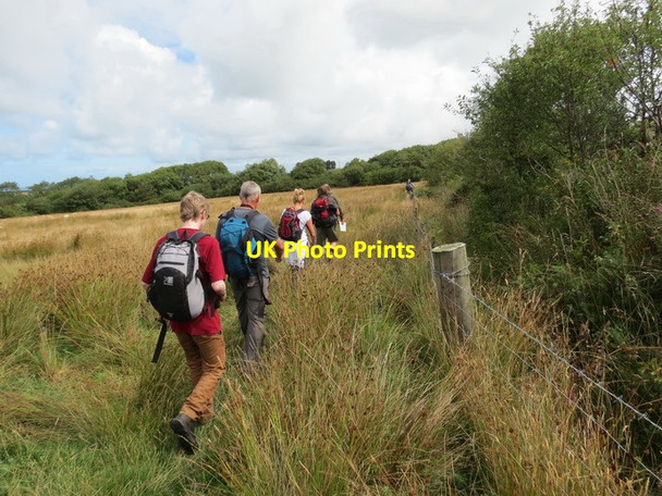 Photo 6"x4" Llwybr Ceffyl Ty'r Ffynnon Bridleway New Quay\/Ceinewydd c2013