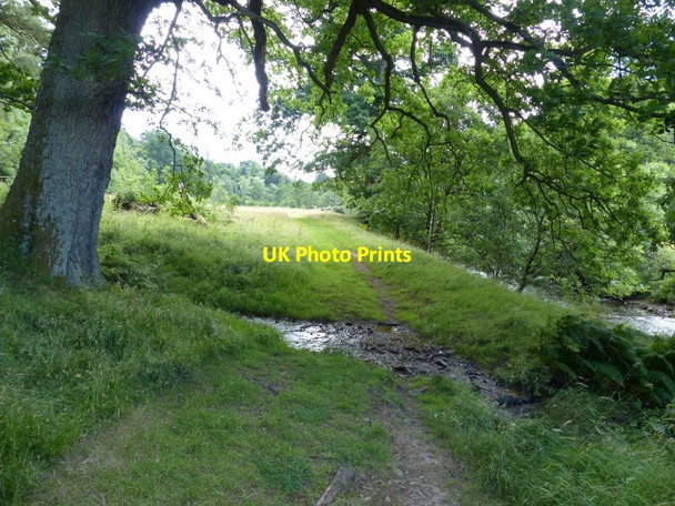 Photo 6"x4" Small ford Carrington\/NT3160 c2013