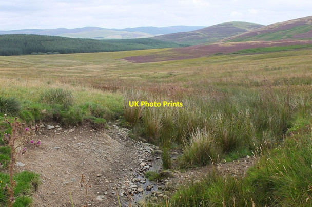 Photo 6"x4" Moorland near Harehope Harehope\/NT2044 c2013