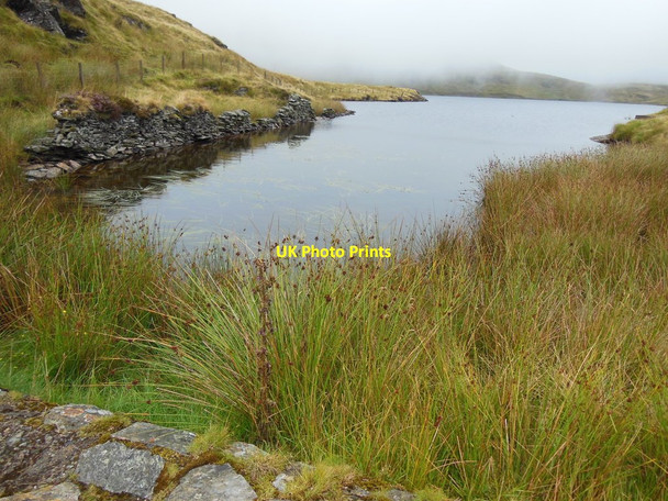 Photo 6"x4" Llyn Morwynion Cae Clyd c2013
