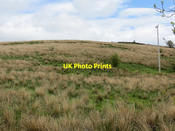 Photo 6"x4" Damp  pasture, Barraston Torrance\/NS6274 c2013