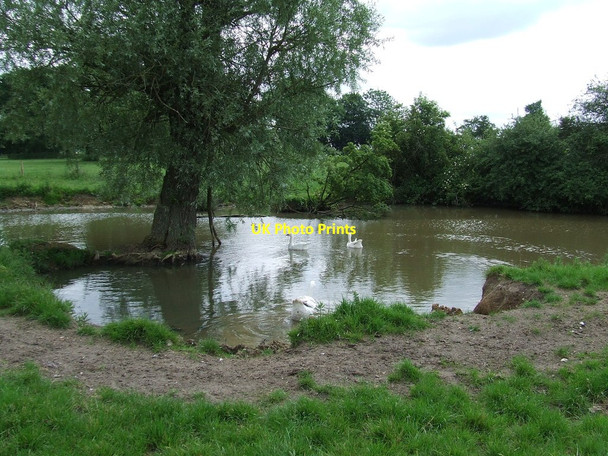 Photo 6"x4" Pond With Geese Earsham Street c2013