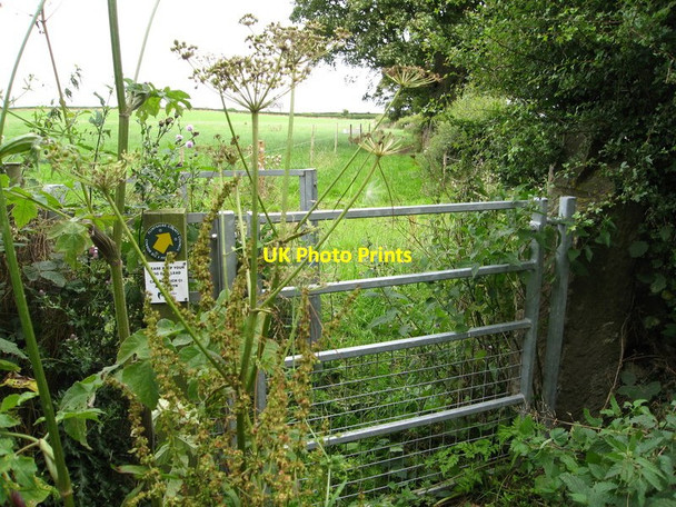Photo 6"x4" Kissing gate for path to Mynydd Mostyn Berthengam c2013