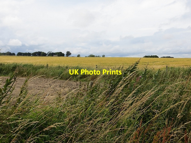 Photo 6"x4" Arable land, Carnegie Carnegie c2013