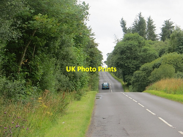 Photo 6"x4" B961, Clearie Woods Guildy c2013