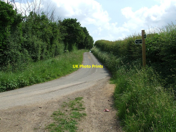 Photo 6"x4" Mill Lane Upper Weybread c2013
