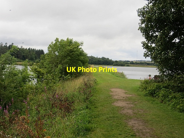 Photo 6"x4" Monikie Reservoirs Craigton\/NO5138 c2013