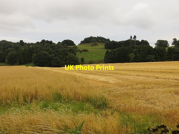 Photo 6"x4" Oats, Drumsturdy Drumsturdy c2013