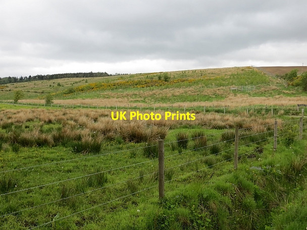 Photo 6"x4" Langshot Farm Torrance\/NS6274 c2013