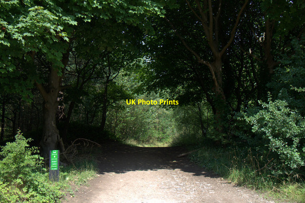 Photo 6"x4" The Fisherman's Path, Freshfield Formby c2013