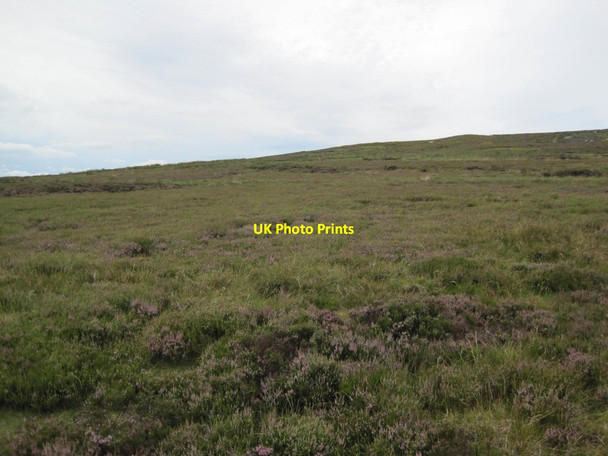 Photo 6"x4" Moorland, Jack Scars Bollihope c2013