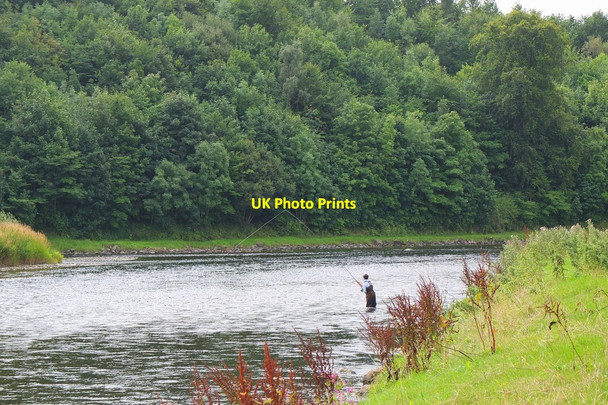 Photo 6"x4" Fishing on the Tweed, Mertoun Maxton\/NT6130 c2013