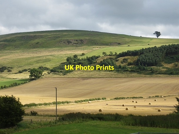 Photo 6"x4" Under Moneylaws Hill Downham\/NT8633 c2013