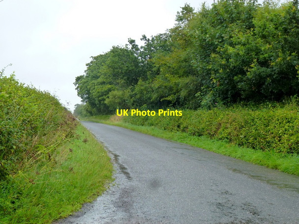 Photo 6"x4" Wintersheugh Plantation Brydekirk c2013