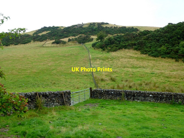 Photo 6"x4" Rough pasture Dalbeattie c2013
