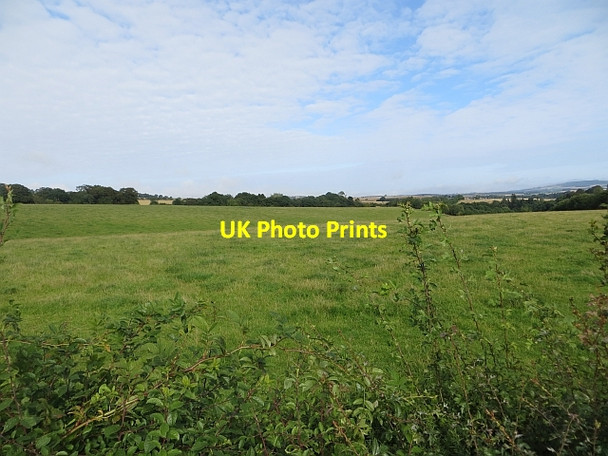 Photo 6"x4" Grass, Lemington Reston\/NT8862 c2013
