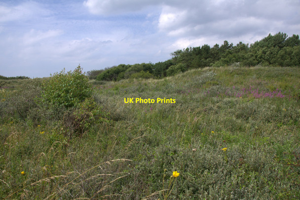 Photo 6"x4" Dry slack in Ainsdale National Nature Reserve Formby c2013