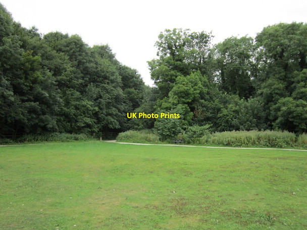 Photo 6"x4" The Humber Bridge Country Park Hessle\/TA0326 c2013