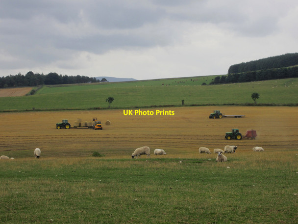 Photo 6"x4" Tractors at work north of East Horton East Horton c2013