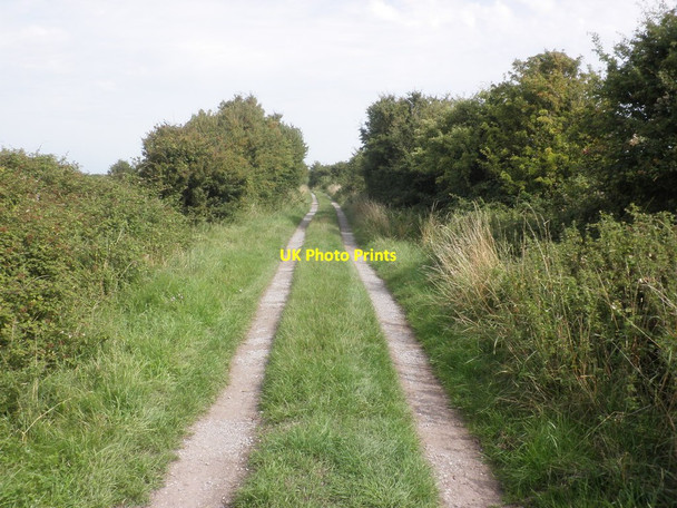 Photo 6"x4" Path towards the Parrett Estuary Steart\/ST2745 c2013