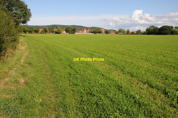 Photo 6"x4" Footpath and field Holme Lacy c2013