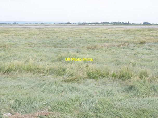 Photo 6"x4" Flood meadow, Parrett Estuary Steart\/ST2745 c2013