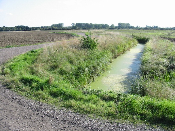 Photo 6"x4" Farm track and drainage ditch on Monkton Marshes Hoo\/TR2964 c2008