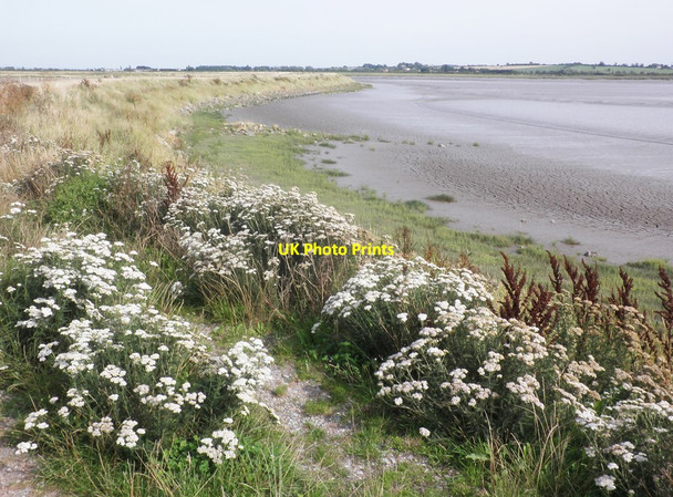 Photo 6"x4" The Parrett Estuary Steart\/ST2745 c2013