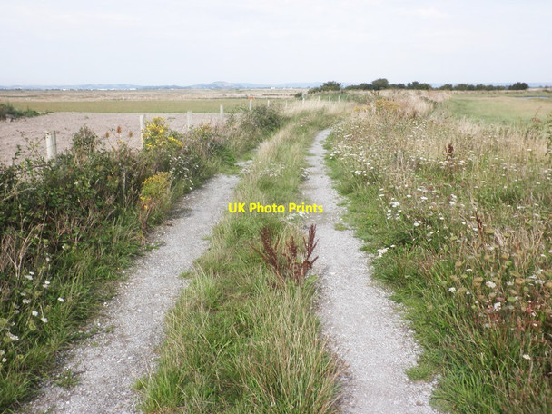Photo 6"x4" The River Parrett Trail Steart\/ST2745 c2013