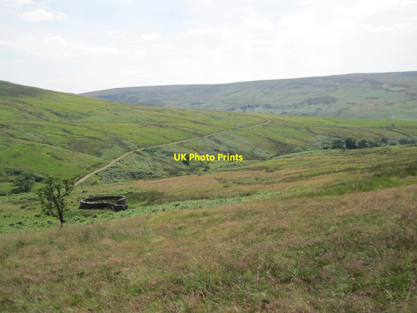 Photo 6"x4" Sheepfold, Old Water Valley Forest Head c2013