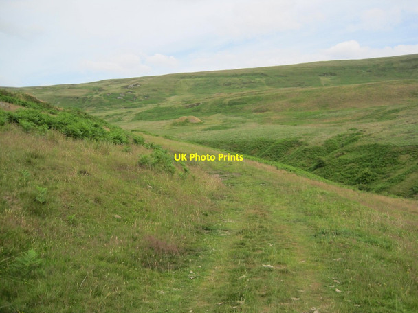 Photo 6"x4" Bridleway towards Gairs Forest Head c2013