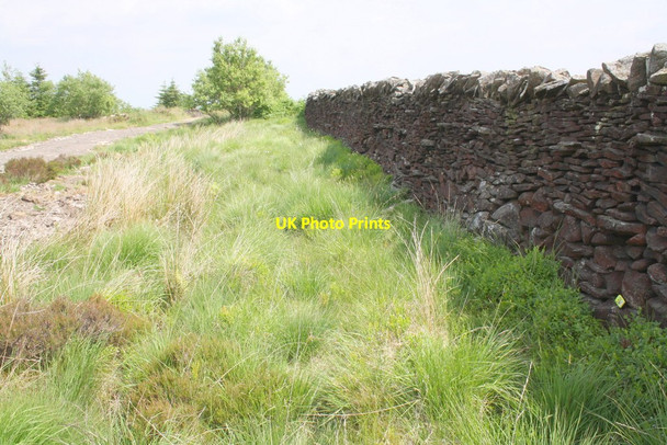 Photo 6"x4" Skipton Moor Lane at Back Plantation Draughton\/SE0352 c2013
