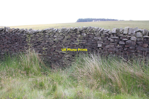 Photo 6"x4" View south over dry stone wall beside Skipton Moor Lane Draughton\/SE0352 c2013