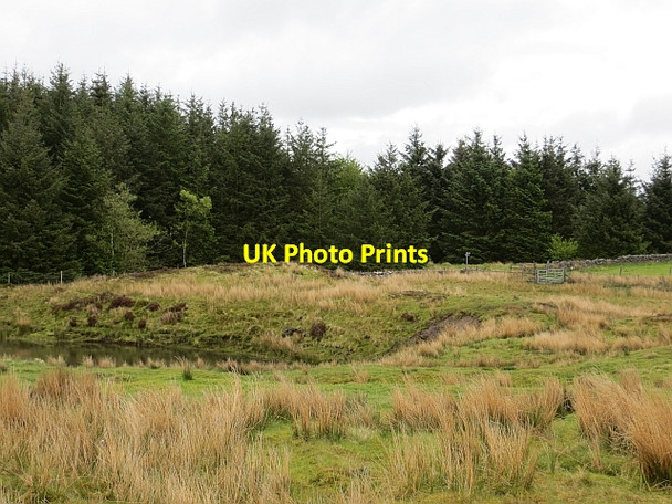 Photo 6"x4" Blairskaith Muir Blairskaith c2013 P1