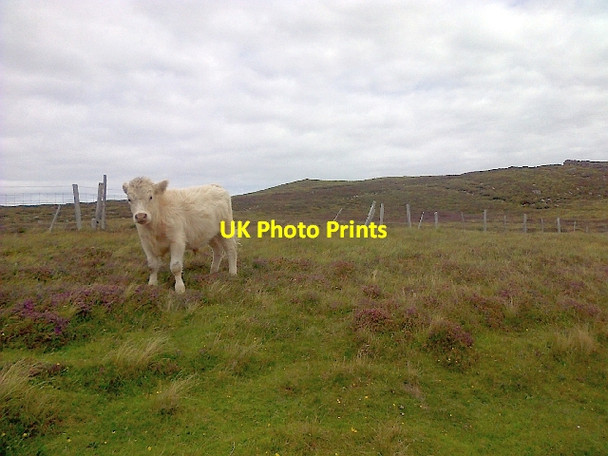 Photo 6"x4" Fence at Slaggan Mellon Charles c2013