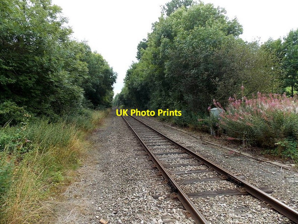 Photo 6"x4" View south from the level crossing near Llangynllo railway station Llangunllo c2013