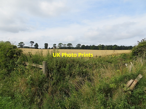 Photo 6"x4" Arable land near Brownrig Crailinghall c2013
