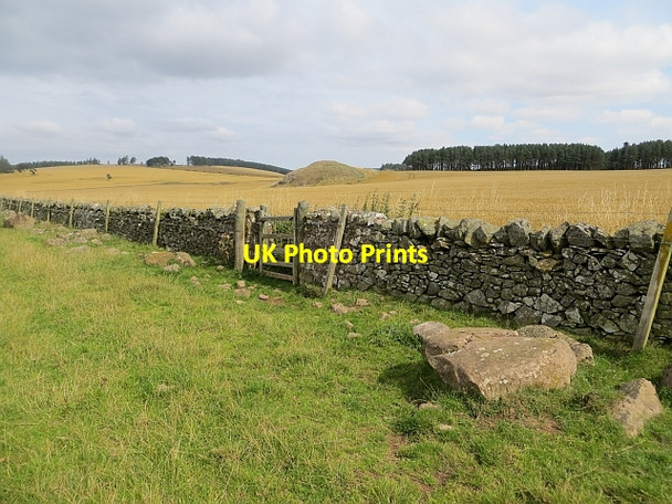Photo 6"x4" Gate, Cessford Moor Crailinghall c2013